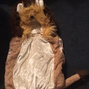 Lion costume